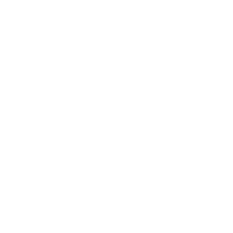 ASX Announcement icon
