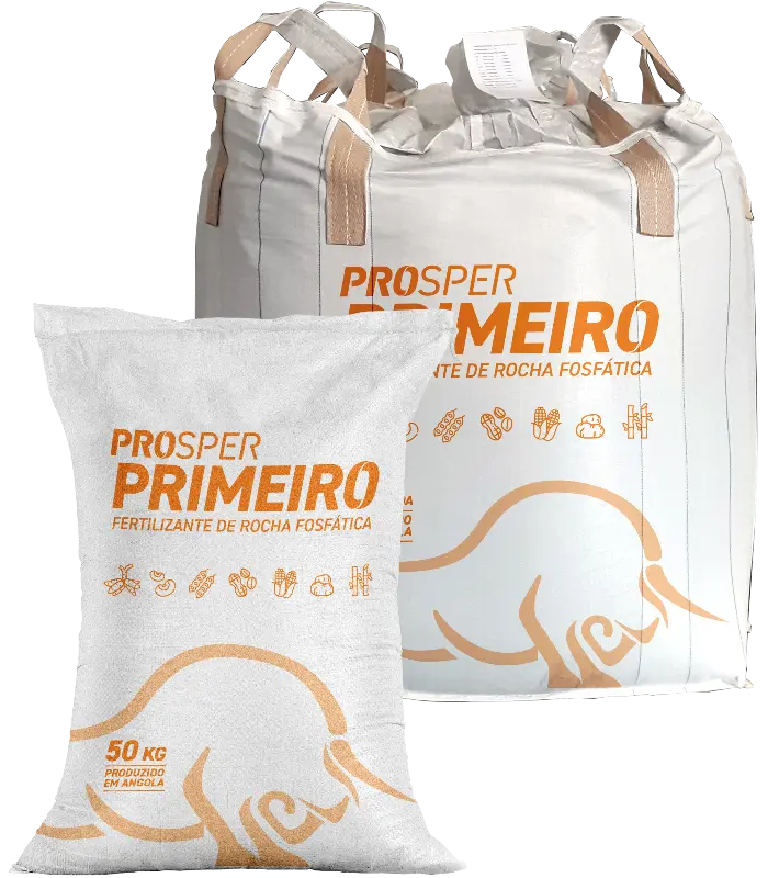 prosper-primeiro